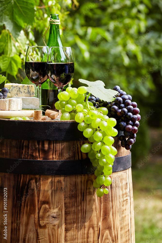 Bottle of red wine with wineglass and grapes in vineyard