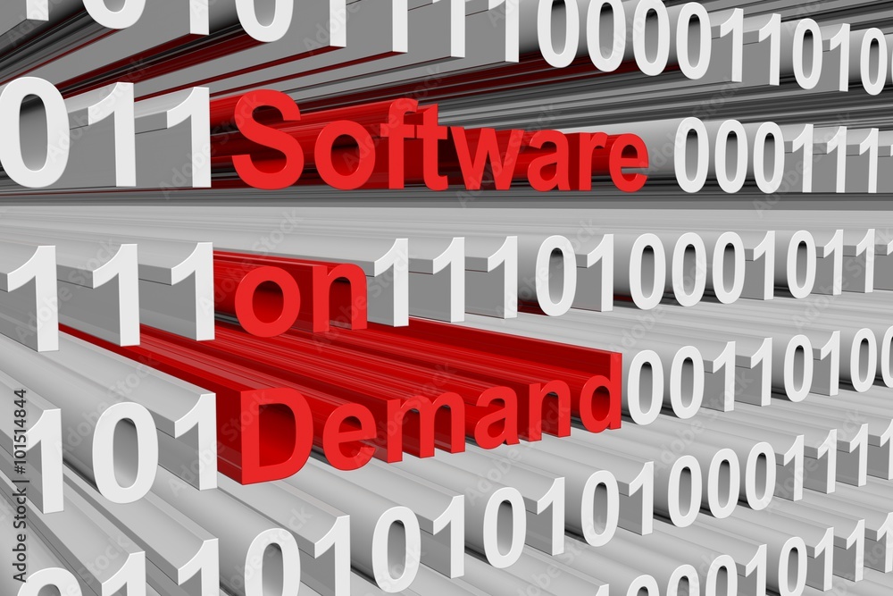 software on demand is presented in the form of binary code