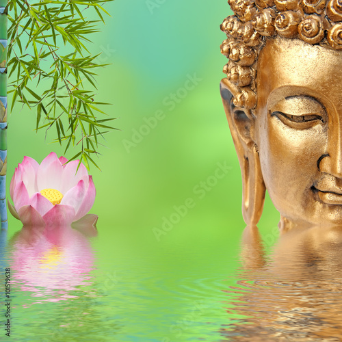 bouddha zen lotus bambou aquatique 