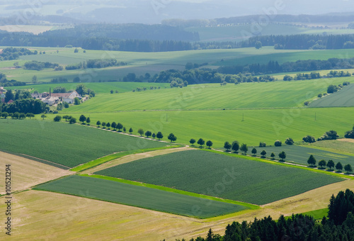 rural landscape background with plant fields