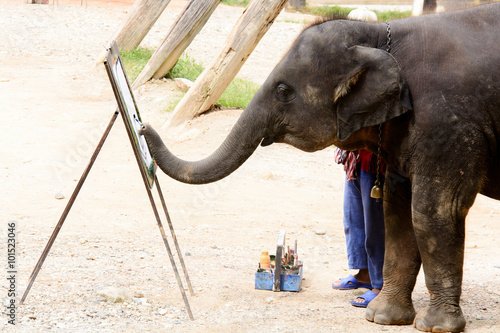 Canvas Print Young Thai elephant painting