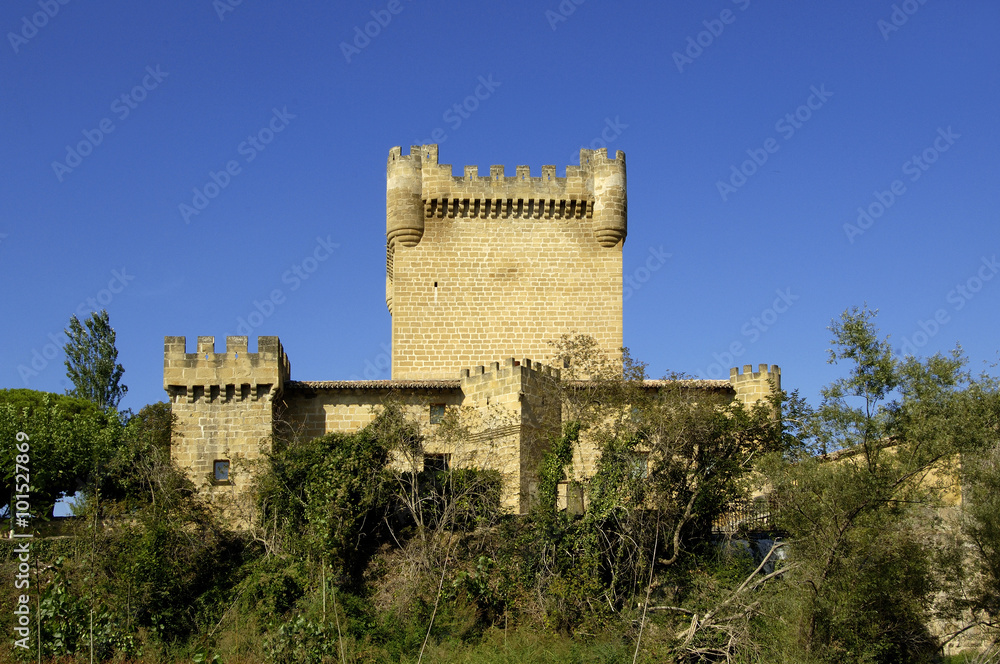Castle, Cuzcurrita de Rio Tirón, La Rioja, Spain