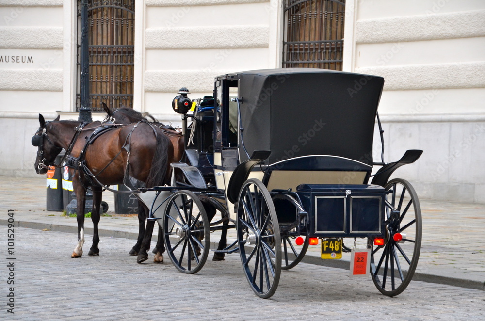Couple Horse-drawn cart waiting for tourists at the main gate to Hofburg Palace in Vienna, Austria