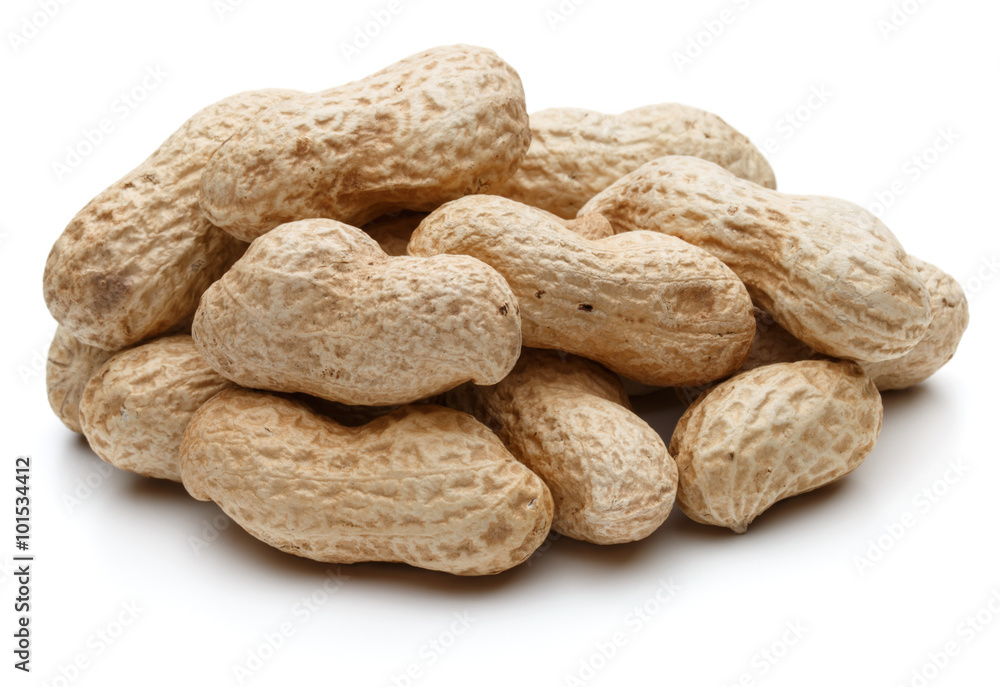 peanut pod or arachis isolated on white background cutout peanut pod or arachis isolated on white background cutout