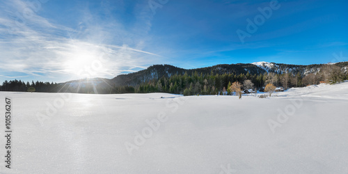 eingeschneite Lichtung im Schwarzwald am Feldberg