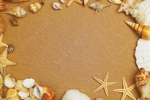 Seashells on paper background