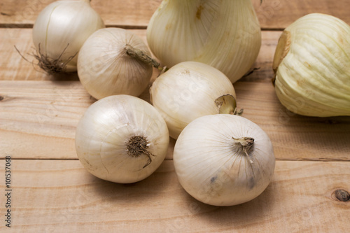 White onions and fennel bulbs closeup