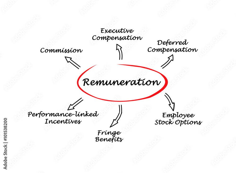 Diagram of Remuneration