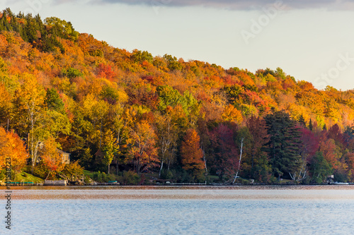 Autumn foliage in Vermont, Elmore state park