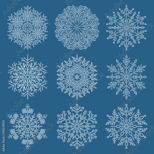Set of white vector snowflakes. Fine winter ornament. Snowflake collection