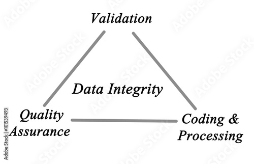 Diagram of Data Integrity