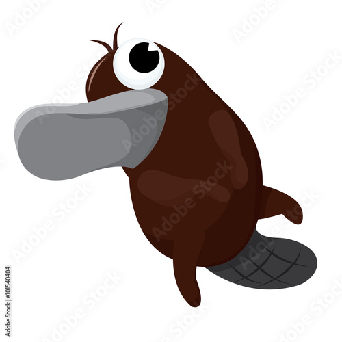 Cute Platypus