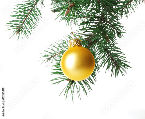 Yellow bauble on a Christmas tree branch, isolated on white