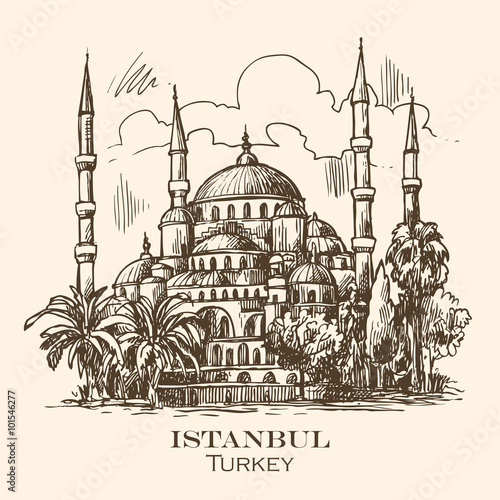  Istanbul blue mosque