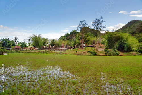 Tongkonan traditional village Kete Kesu photo