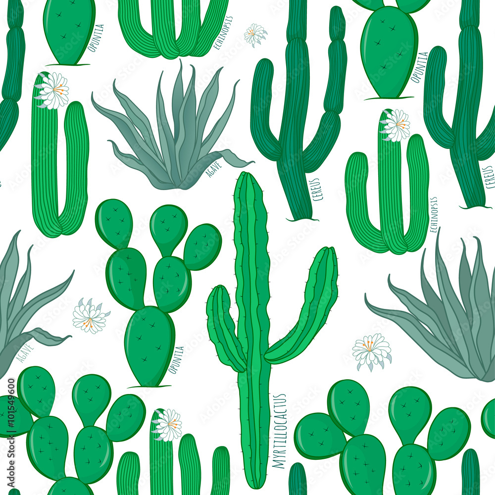 Obraz Seamless cactus pattern