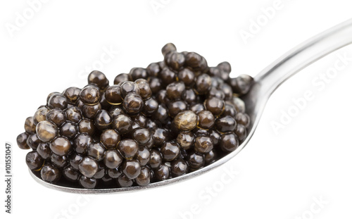 metal spoon with black sturgeon caviar isolated photo