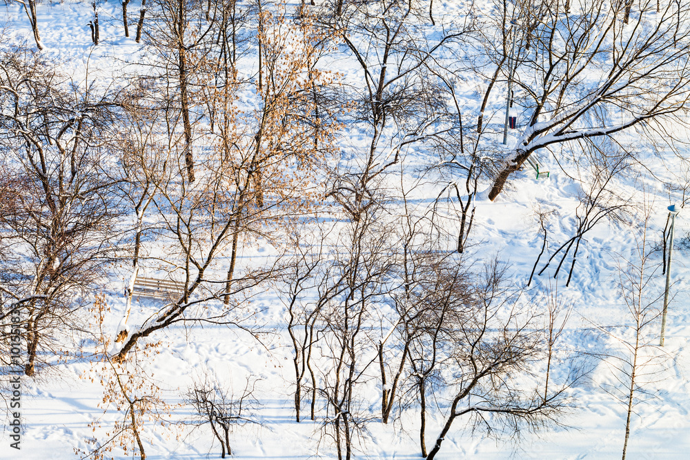 above view of city garden covered by snow above view of city garden covered by snow