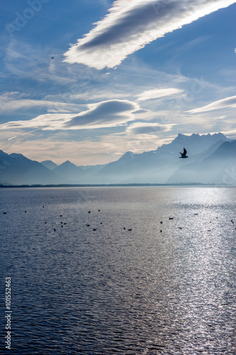 Beautiful view on Geneva Lake and Alps
