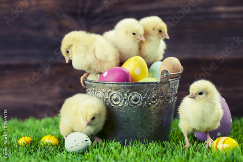 Bucket full of easter eggs and chicken
