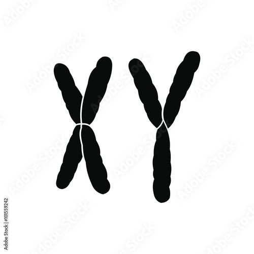 X and Y chromosome icon