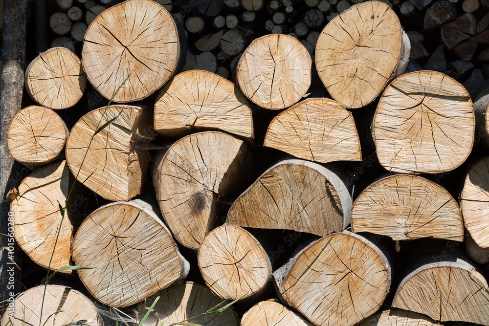 Fototapeta premium dry chopped firewood logs in a pile