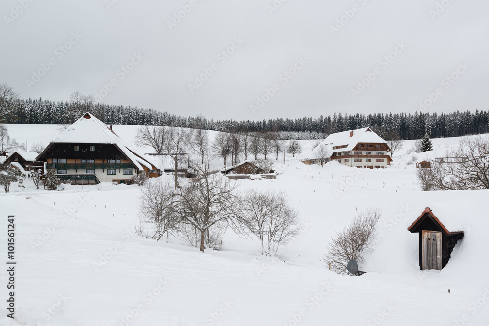 Typical black forest houses