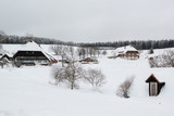 Typical black forest houses