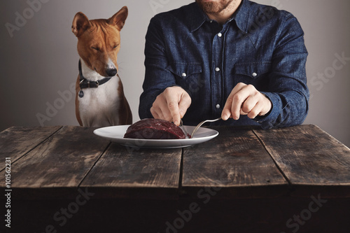 Man cuts piece of steak for lovely dog photo