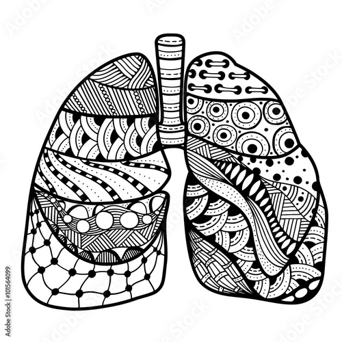 Hand drawn sketched lungs