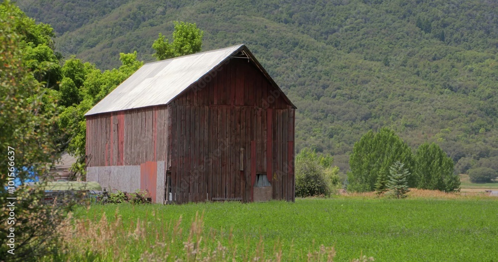 Butterflies flit around an old barn in a lush mountain valley. Butterflies flit around an old barn in a lush mountain valley.