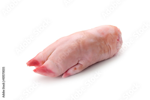 leg of pork on white background