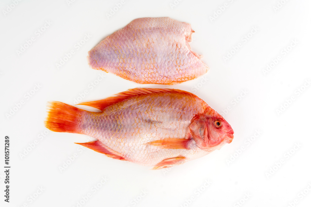 Fototapeta premium tilapia raw