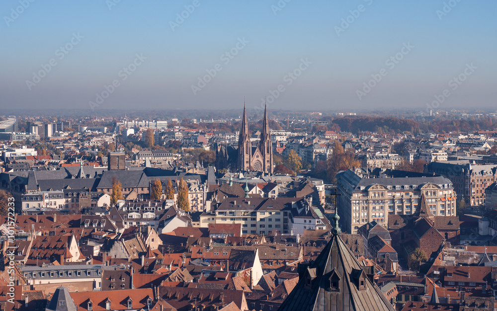 Strasbourg houses. View from the top of the cathedral. France