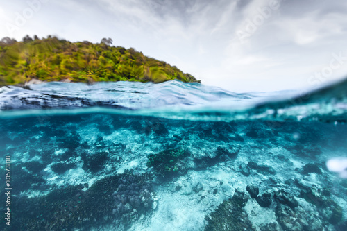 Tropical sea © Dudarev Mikhail