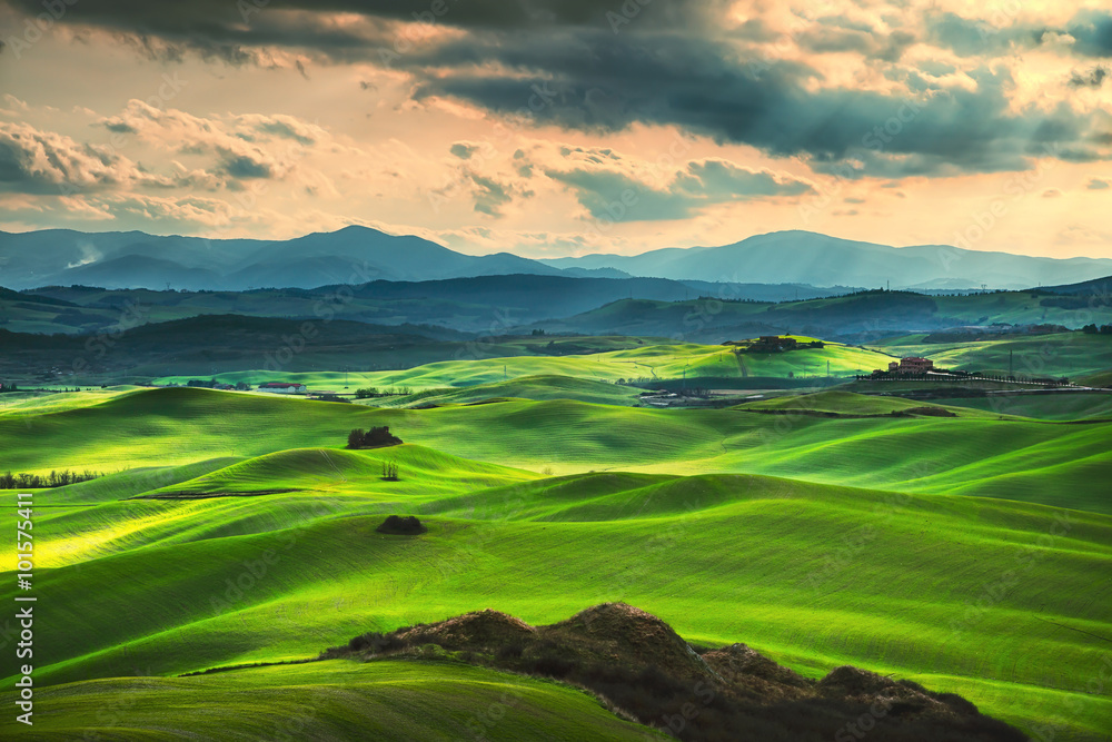 Tuscany spring, rolling hills on sunset. Rural landscape. Green