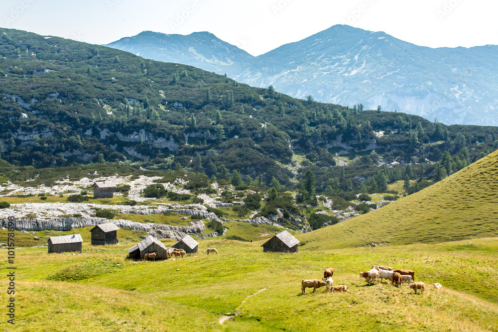 Mountains in Austria