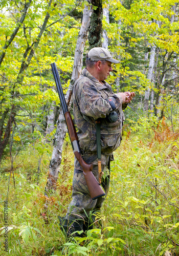 Huntsman hunts on hazel hen in autumn wood.