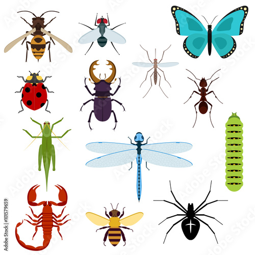 Cartoon isolated colorful insects set