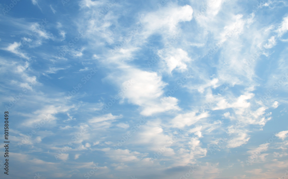 Obraz premium blue sky