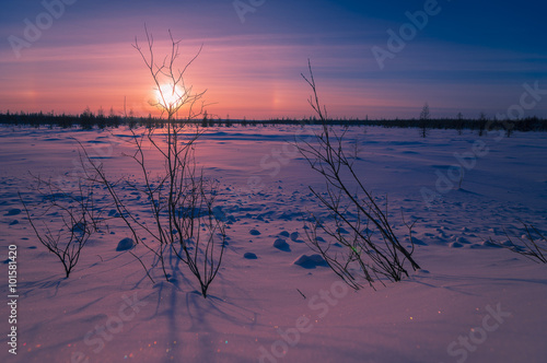 Winter landscape with forest  cloudy sky and sun 