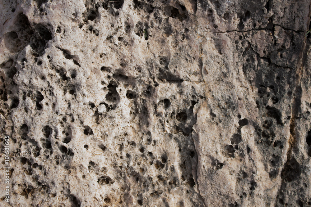 White rock texture White rock texture