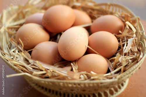 Healthy organic eggs in one basket raw material