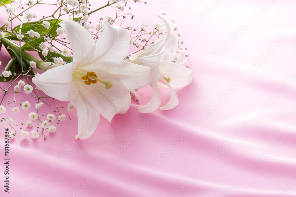 Photography ユリの花
