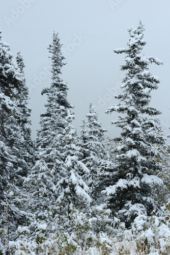 snow in alaska