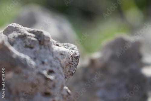 Stones with blurred background