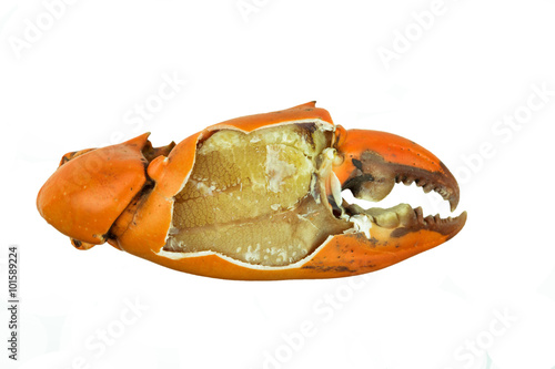 Cooked claw crab