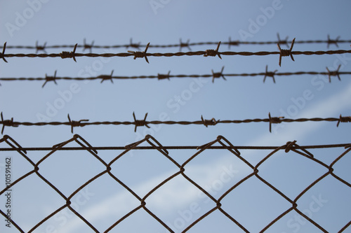 Barbed wire and sky