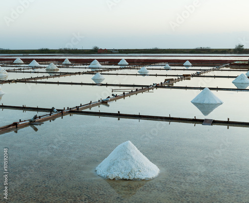 Taiwan Salt pan scenery