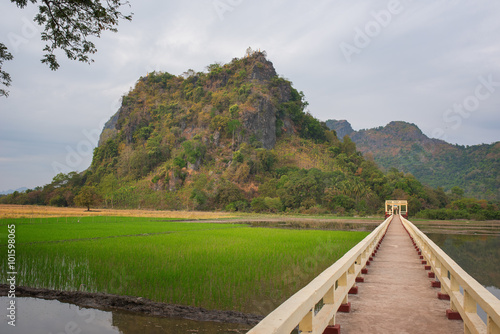 View of paddy field and mountain near Mawlamyine ,Myanmar.